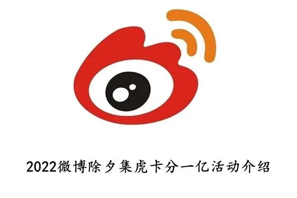 本人已实名的手机号是什么?